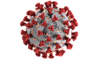 Covid virus